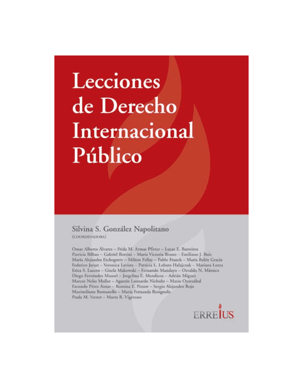 Lecciones De Derecho Internacional P Blico Gonzalez Napolitano